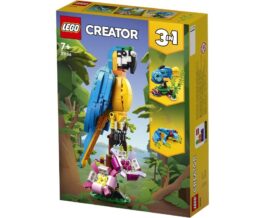 31136 – Exotic Parrot