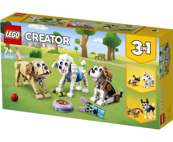 31137 1
