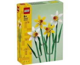 40747 – Daffodils