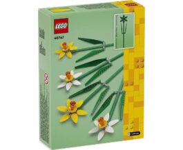 40747 – Daffodils