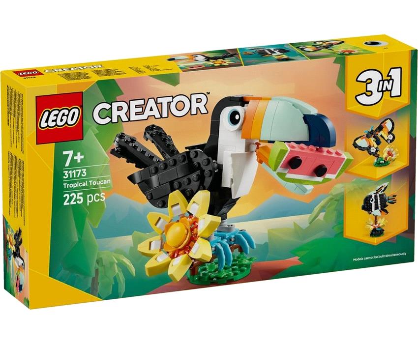 31173