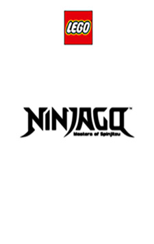 Ninjago cat