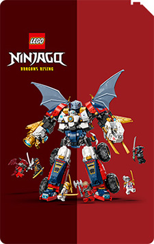 Ninjago cat