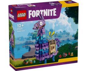 77071 1.jpg
