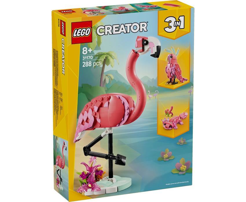 31170 1.jpg