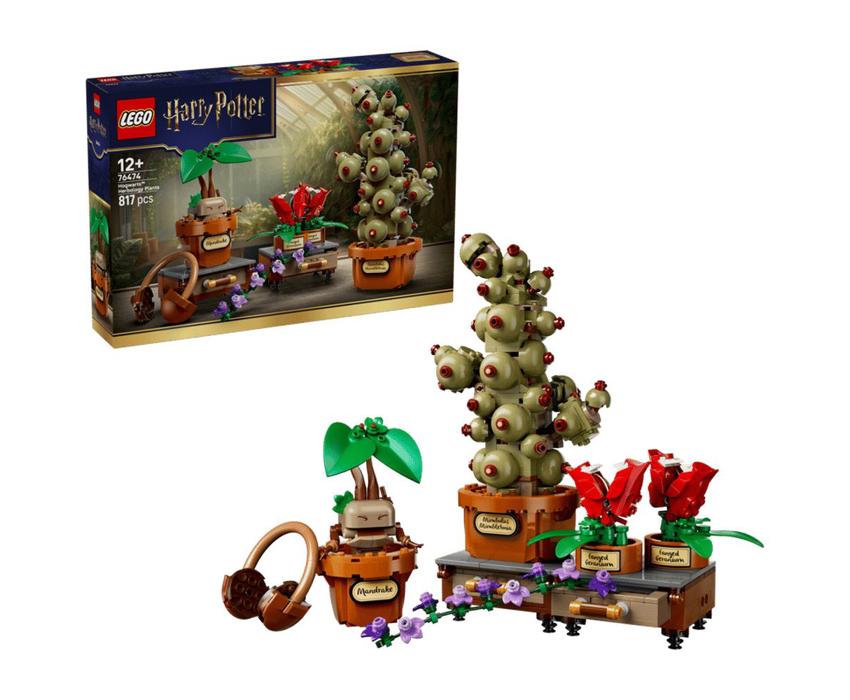 76474 1.jpg