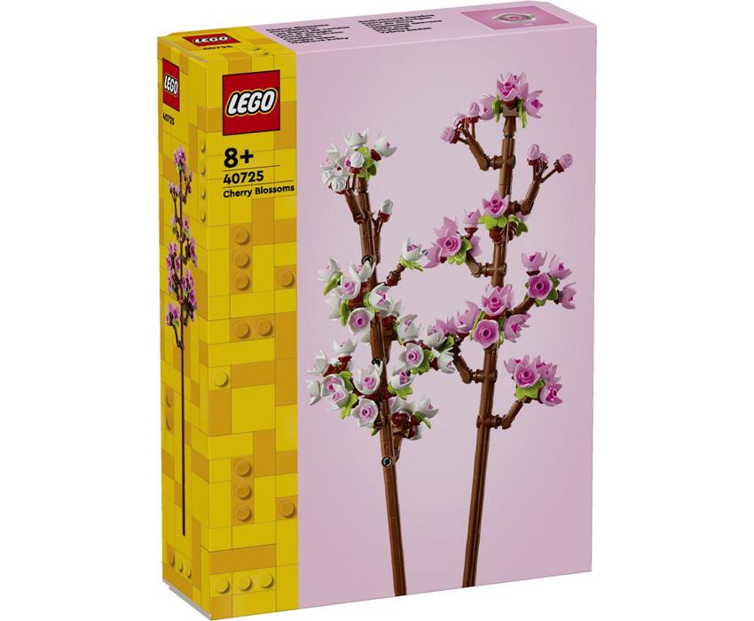 40725 1.jpg