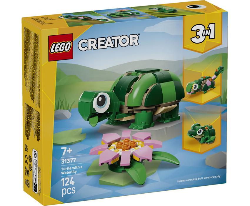 31377 1.jpg