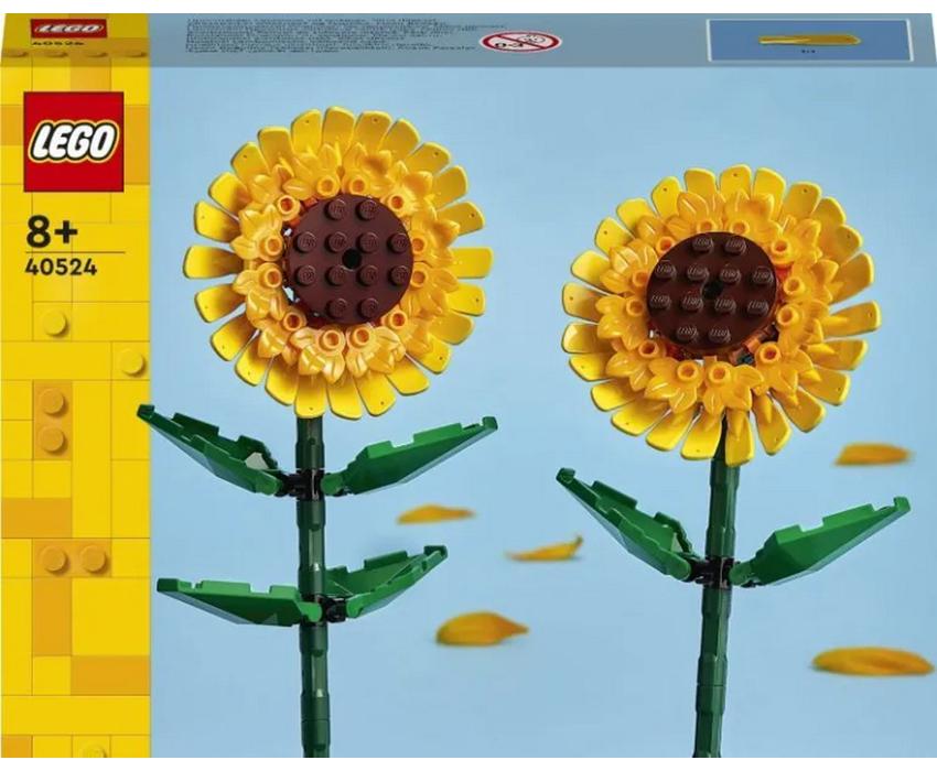 40524 1.jpg